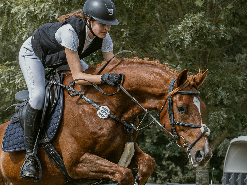 Pferd und Reiterin beim Springen